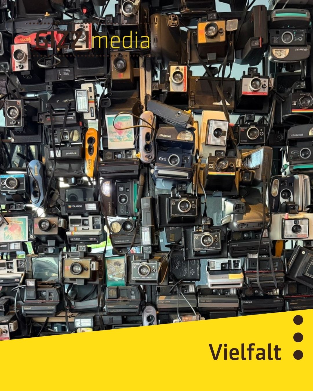 Eine Wand mit sehr vielen alten Fotoapparaten - Kanalvielfalt